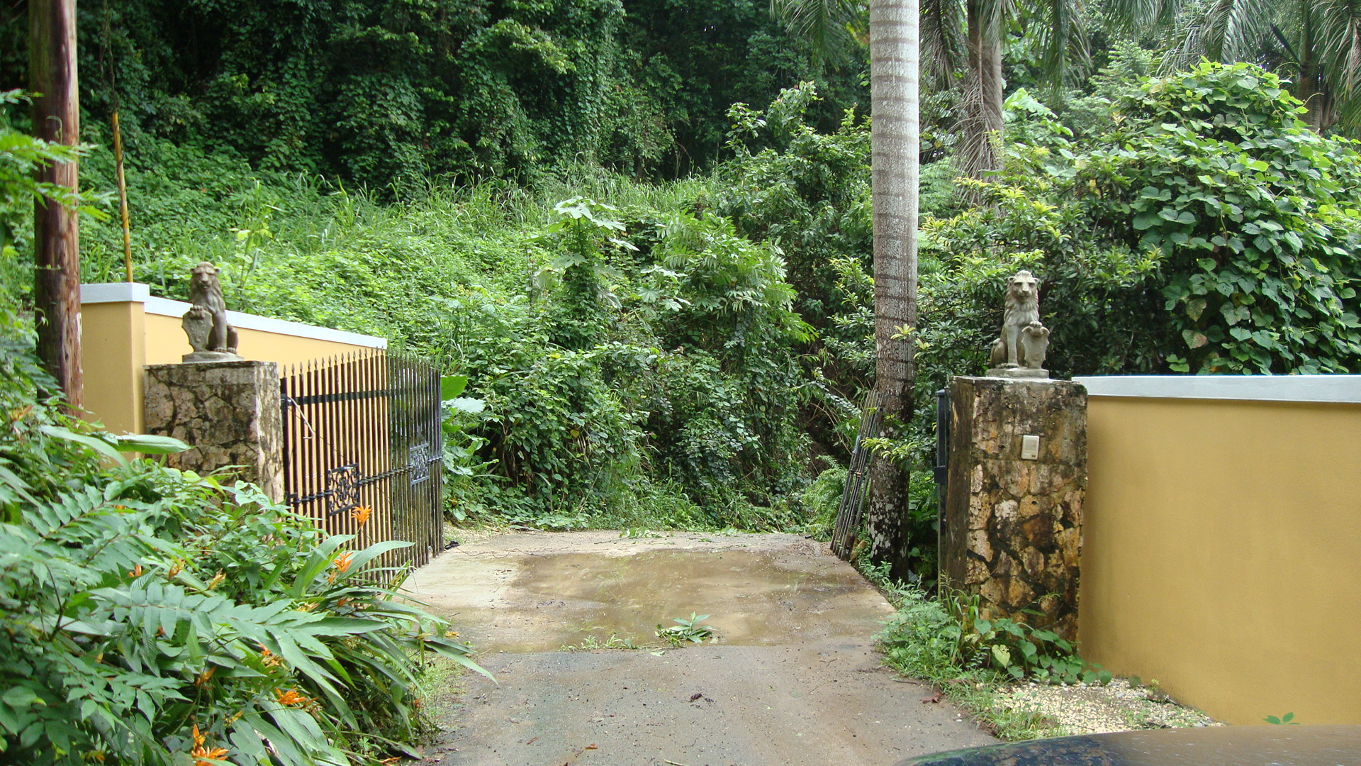 Entry Gate